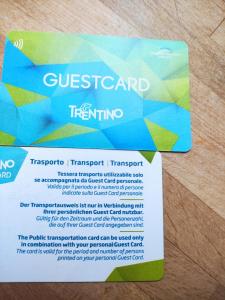 um bilhete para um transporte tesselatório em Lady Tulip - monolocale em Trento