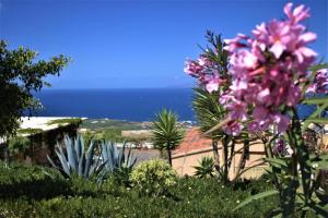 Foto dalla galleria di Finca Gaia La Segunda a Guía de Isora