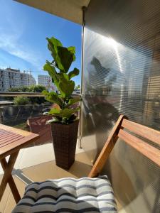 a plant in a vase sitting on a balcony at En Passant / a time in Iasi in Iaşi