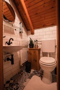 a bathroom with a sink and a toilet at Holiday Home Hygge Nova in Grabrovnik