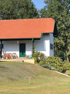 Biały dom z pomarańczowym dachem na wzgórzu w obiekcie Kellerstöckl Postrumer Weinberg 49 w mieście Kulm im Burgenland