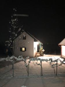 Obiekt Kellerstöckl Postrumer Weinberg 49 zimą