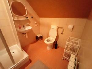 オホトニツァ・グルナにあるNoclegi u Lidiiの小さなバスルーム(トイレ、シンク付)