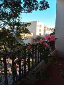 - un balcon avec des roses roses en face d'un bâtiment dans l'établissement Hotel Monte Carlo, à Uruguaiana