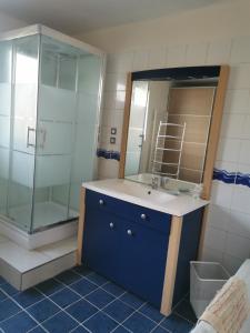 a bathroom with a sink and a glass shower at MASSY VILMORIN Appartement indépendant 3 pieces in Massy