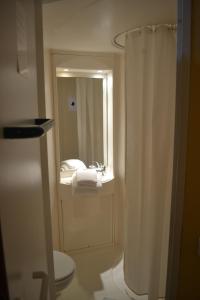 a bathroom with a shower and a toilet and a mirror at Hôtel de France in Libourne