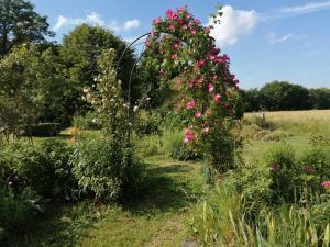 Gallery image of Les Berges de la Planchette in Yvignac +40 photos