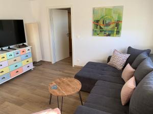 a living room with a couch and a tv at Am Sonnenhang in Hilzingen