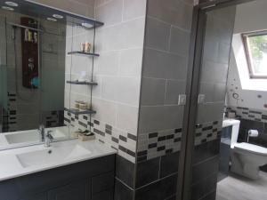 ein Badezimmer mit einem Waschbecken, einem Spiegel und einem WC in der Unterkunft Ty An Eol in Saint-Évarzec
