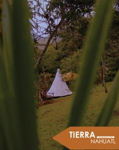 Gallery image of Tipis Cuetzalan in Cuetzalán del Progreso