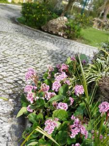 a bouquet of pink flowers on the side of a street at Quinta Lagus Resort - Casa de Campo in Palmela