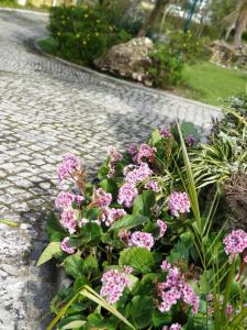 un ramo de flores rosas al lado de una calle en Quinta Lagus Resort - Casa de Campo, en Palmela