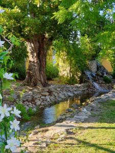 uma árvore ao lado de um riacho com flores brancas em Quinta Lagus Resort - Casa de Campo em Palmela