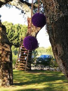 two purple balls hanging from a tree with a ladder at Quinta Lagus Resort - Casa de Campo in Palmela +106 photos