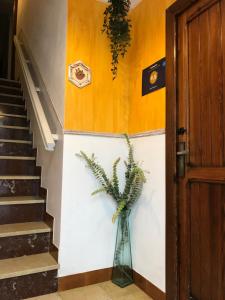 Fotografie z fotogalerie ubytování Alto Palancia Calle Progreso 25 Sot de Ferrer v destinaci Sot de Ferrer