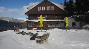 Pension Horalka v zime