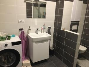 ein Badezimmer mit einem Waschbecken und einer Waschmaschine in der Unterkunft Papeto in Frymburk