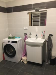 ein Badezimmer mit einer Waschmaschine und einem Waschbecken in der Unterkunft Papeto in Frymburk