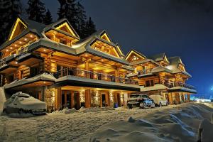 duży domek z bali w śniegu w nocy w obiekcie Apartamenty Złoty Groń w Istebnej