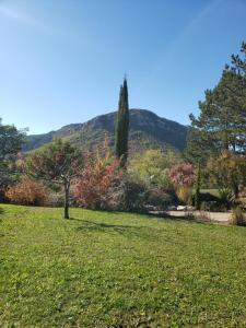 um parque com uma árvore no meio de um campo em Roule hôtes em Montéglin