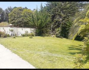 a yard with a hose in the grass at Cabañas MI REFUGIO in Isla Negra