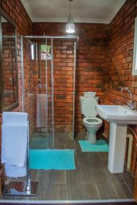 a bathroom with a shower and a toilet and a sink at Studios @ Delver in Parys