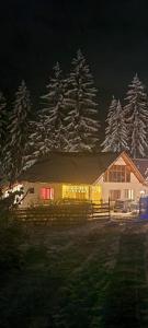 a house with christmas lights in front of snow covered trees at CASA DINCA in Cîmpu lui Neag