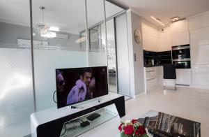 Kuchyň nebo kuchyňský kout v ubytování Apartament Szyndzielnia