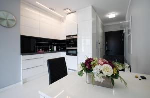 Kuchyň nebo kuchyňský kout v ubytování Apartament Szyndzielnia + 12 fotografií