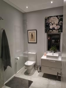 a bathroom with a toilet and a sink and a mirror at Oak Village in Stellenbosch