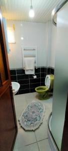 a bathroom with a toilet and a rug on the floor at Tarabya Family Suıt Boshphorus in Istanbul
