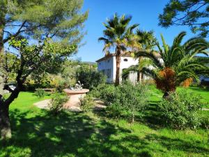 un jardin avec des palmiers et une maison blanche dans l'établissement Le poisson qui recule - Maison et piscine dans parc arboré proche mer, à Sanary-sur-Mer