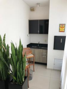 a kitchen with a table and a potted plant at Apto no centro da cidade mais alemã do Brasil in Pomerode
