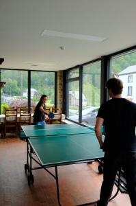 Stolní tenis v ubytování Auberge Le Vieux Moulin nebo okolí