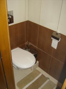 ヴァルナ・シティにあるApartment Icoviのバスルーム(トイレ、トイレットペーパーディスペンサー付)