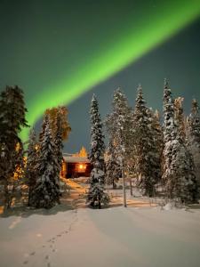 eine Aurora am Himmel über einem Wald von Bäumen in der Unterkunft Holiday Home Ruka Lammensyli in Ruka