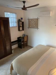 Gallery image of Villa Escondida Guest House Cozumel Downtown in Cozumel