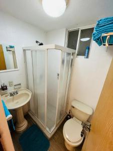 a bathroom with a shower and a toilet and a sink at Cómodo y Pintoresco Depa Al sur de La Ciudad! in León