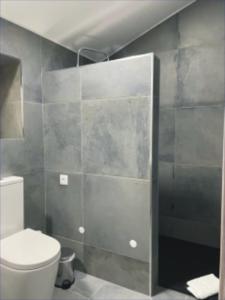 a bathroom with a toilet and a shower stall at Casa Sofia in Vila Pouca de Aguiar