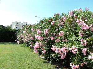 A garden outside Hotel Vila Bahia