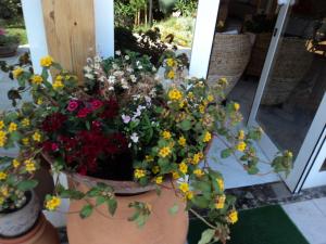 A garden outside Hotel Vila Bahia