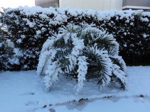 Hotel Vila Bahia during the winter