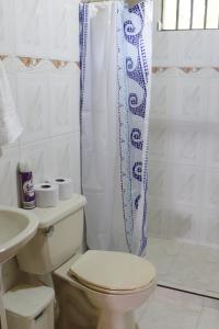 een witte badkamer met een toilet en een douche bij Finca Chalet La Tawa in Sevilla