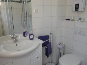 Een badkamer bij Moselferienhaus-Zeltingen