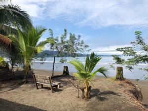 a bench sitting on a beach near the water at Paraiso Escondido in Bahía Solano