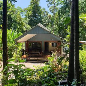 a small house in the middle of a forest at Forest views in Diwan