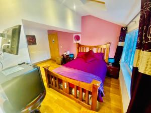 1 dormitorio con 1 cama y TV de pantalla plana en Dreamhaven en Dunbar