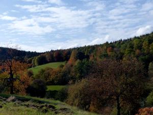 uma vista para uma colina com árvores e relva em Au chalet de JO em Muhlbach-sur-Munster