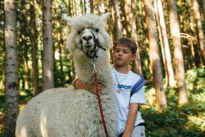 Loomad hotelli aladel või selle läheduses