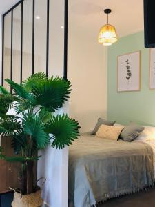 1 dormitorio con 1 cama y una maceta en Grand Studio avec terrasse proche de l'hypercentre de Lorient en Lorient